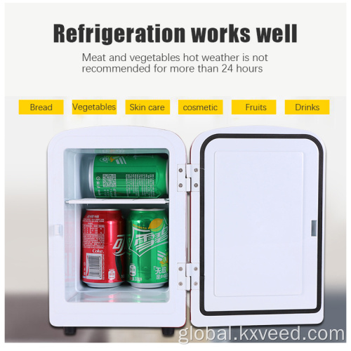 5v Upright Refrigerator 4L custom makeup skin care beauty refrigerator Manufactory